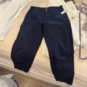 J. Crew Navy Blue Chinos